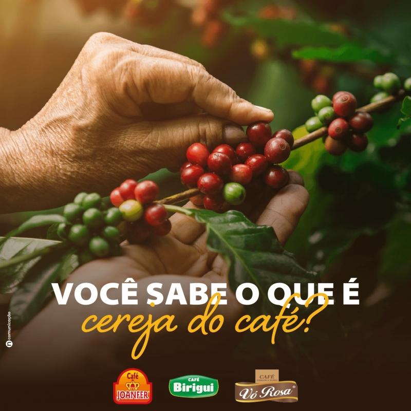 Noticia voce-sabe-o-que-e-a-cereja-do-cafe